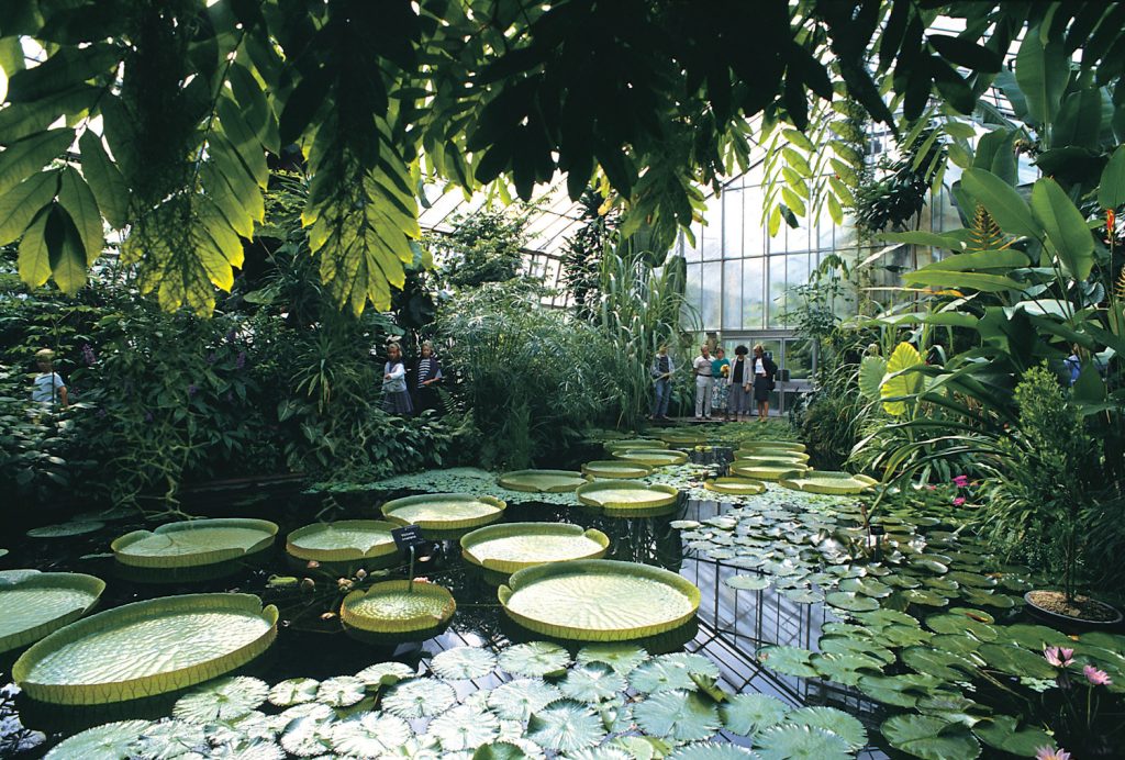 Invernadero del Jardín Botánico de Edimburgo