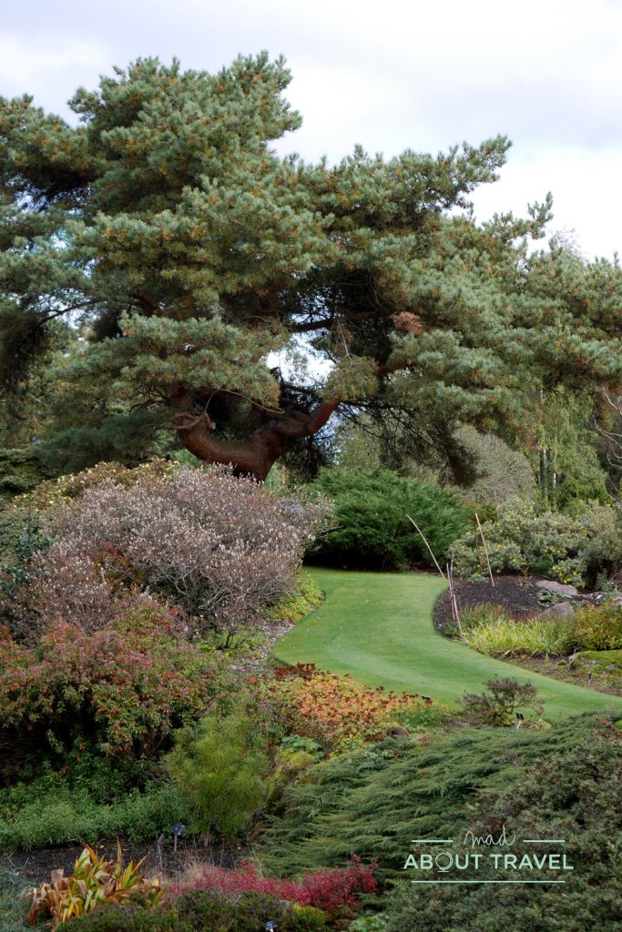 Jardín botánico de Edimburgo