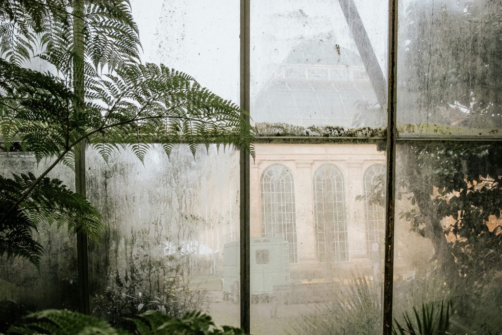 Invernadero del Jardín Botánico de Edimburgo