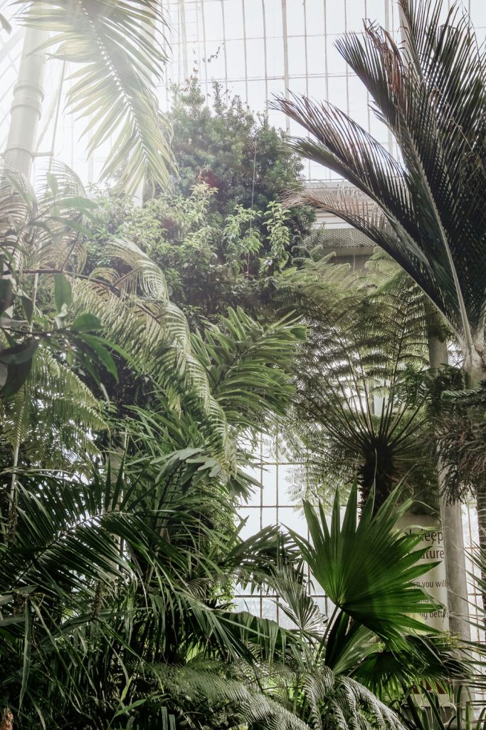 Invernadero del Jardín Botánico de Edimburgo